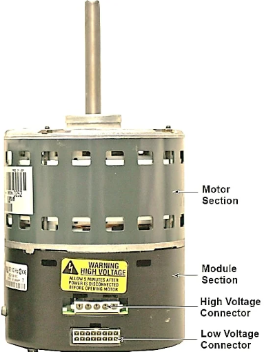 Figure 7. Module Section